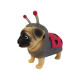 Стретч-іграшка у вигляді тварини DRESS YOUR PUPPY S1 – ЦУЦЕНЯТКО В БЛИСКУЧОМУ КОСТЮМЧИКУ, DIR-L-10003