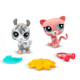 Ігровий набір LITTLEST PET SHOP – ГРА В ХОВАНКИ (2 фігурки, аксес.), 00509