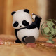 Колекційна фігурка POP TOP 52Toys серії "Panda Roll" - МЯВ ПАНДИ (у дисп., в ас.), 22CB437GG13