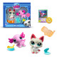 Ігровий набір LITTLEST PET SHOP – ДИВОВИЖНІ ДІВИ (2 фігурки, аксес.), 00527