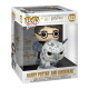 Ігрова фігурка FUNKO POP! серії "Гаррі Поттер" - ГАРРІ ПОТТЕР І ДЗЬОБОКРИЛ, 76008 - купити у Києві | KIOSK для MAM