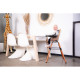 Стілець для годування Childhome Evolu 2 з бампером nut/frosted, арт. CHEVOCHFR