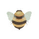 Ковер хлопковый Bee, Planet Bee, Lorena Canals, C-BEE | Купить в Киеве в KIOSK для МАМ