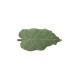 Декоративна подушка «Лист монстери Baby Leaf», Lorena Canals, арт. SC-BABYLEAF | Купити в Києві в KIOSK для МАМ