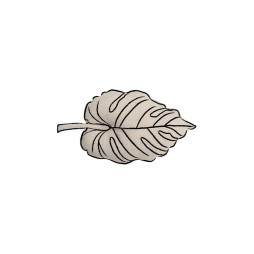 Подушка у формі аркуша Монстери, Lorena Canals, арт. SC-LEAF