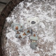 Elodie Details - Пустушка Billy the Bear, арт. 30100153858NA