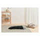 BabyBjorn - Крісло-шезлонг Bouncer Bliss Cotton, Black (чорний), арт. 7317680060167 